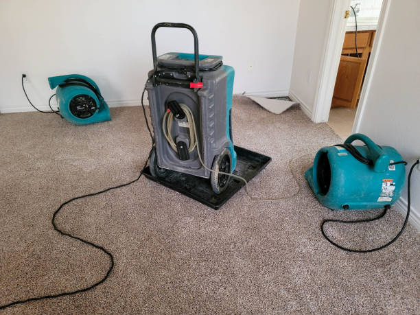Best Ceiling water damage repair  in North Wilkesboro, NC