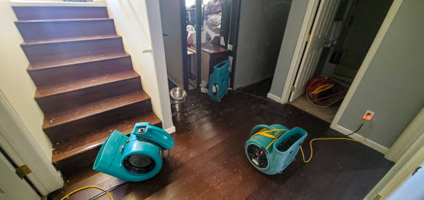 Best Sewage cleanup and water damage restoration  in North Wilkesboro, NC