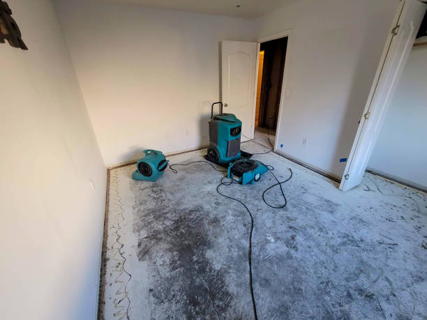 Best Residential water damage restoration  in North Wilkesboro, NC