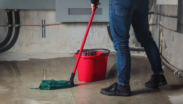 Best Local water damage restoration  in North Wilkesboro, NC