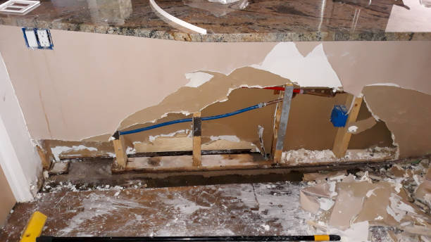 Best Professional water damage repair  in North Wilkesboro, NC