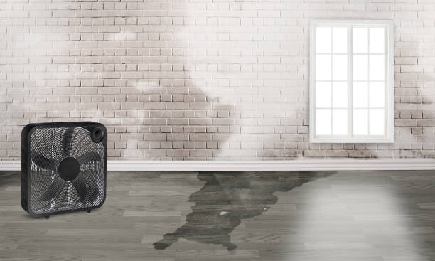 Best Flood restoration services  in North Wilkesboro, NC