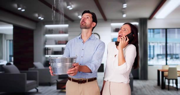 Best Water damage restoration near me  in North Wilkesboro, NC